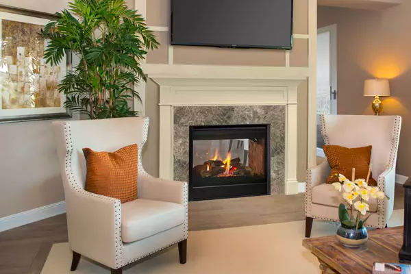 Multi-Sided Gas Fireplaces category
